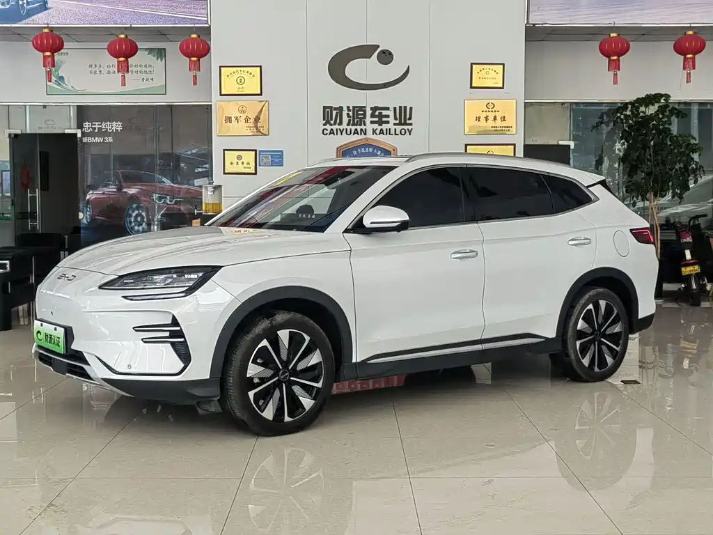 BYD PLUS New Energy 2025 — фото 1