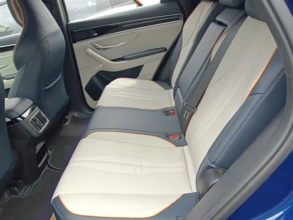 BYD PLUS New Energy 2022 — фото 17