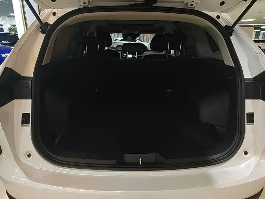 Haval H6 2022 — фото 19