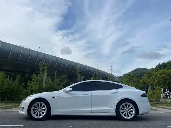 Tesla Model S 2019