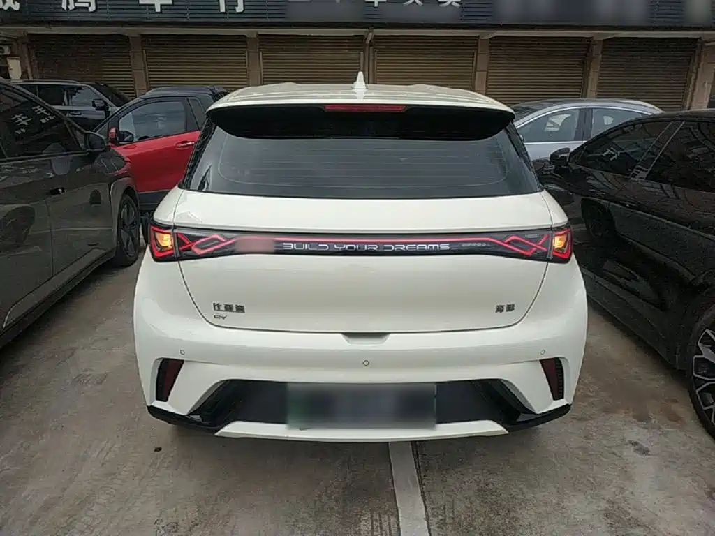 BYD Dolphin 2024