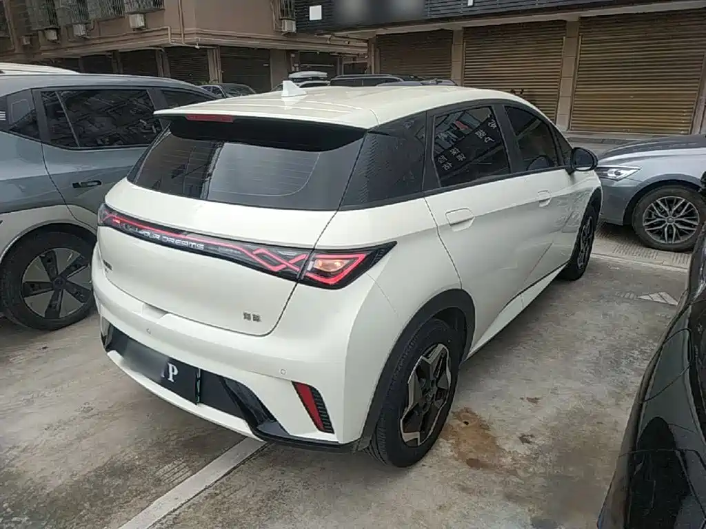 BYD Dolphin 2024