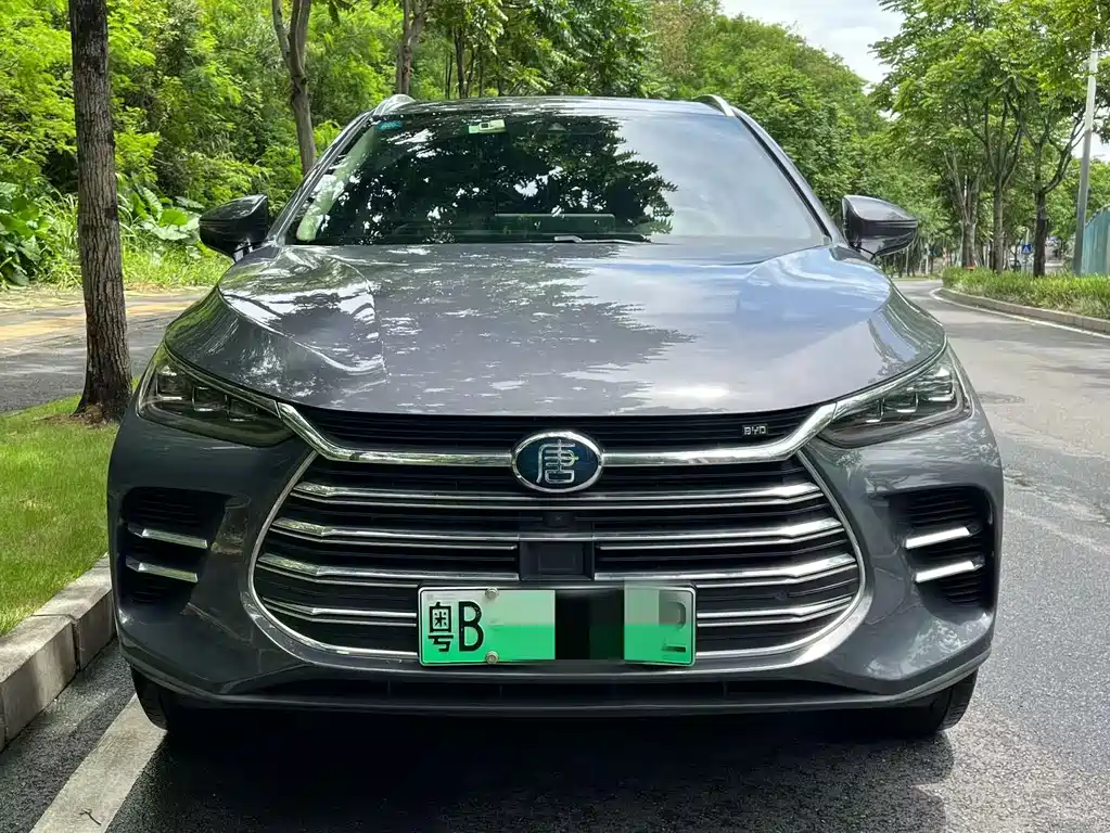 BYD Tang New Energy 2019 — фото 2