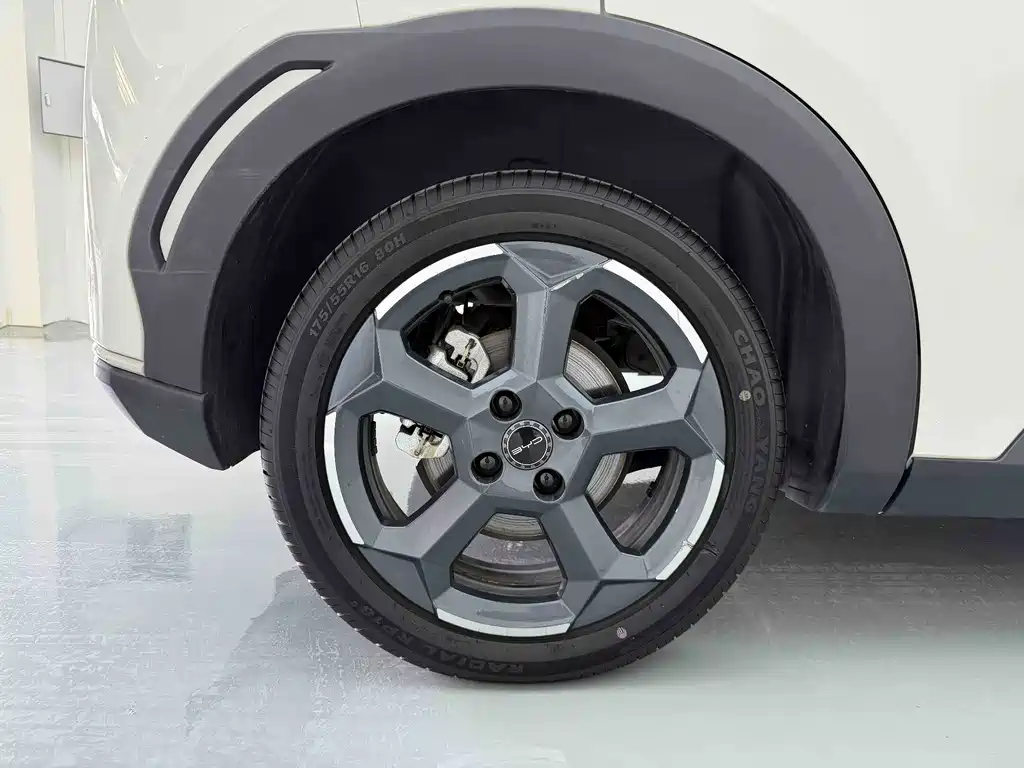 BYD Seagull 2024