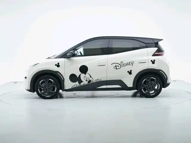 BYD Seagull 2024