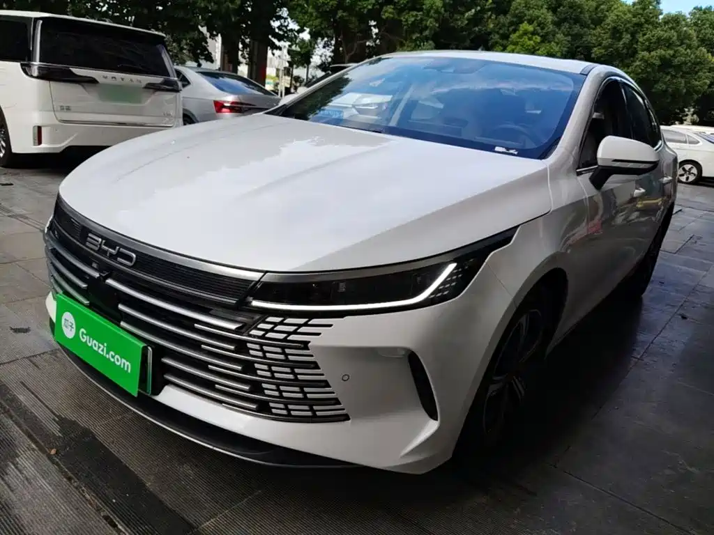 BYD Destroyer 05 2023 — фото 2