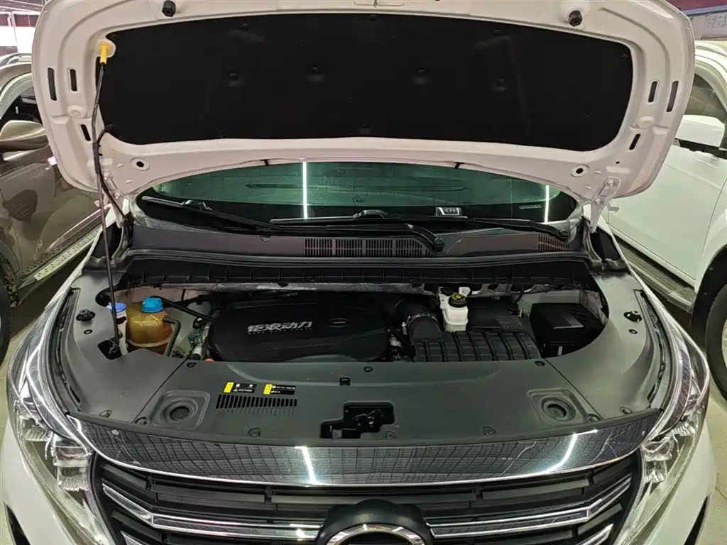 GAC Motor Trumpchi M8 2022 — фото 20