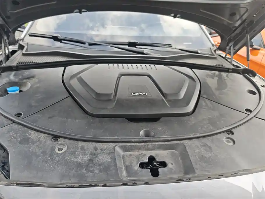 BYD PLUS New Energy 2024 — фото 10