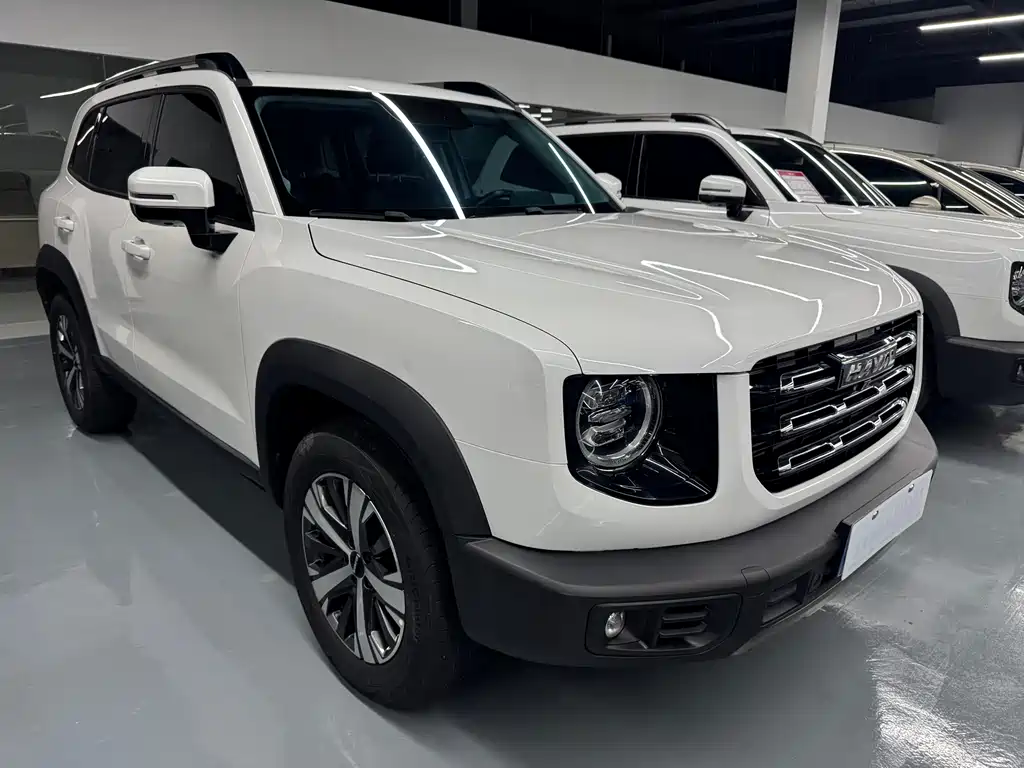 Haval Big Dog 2021 — фото 2