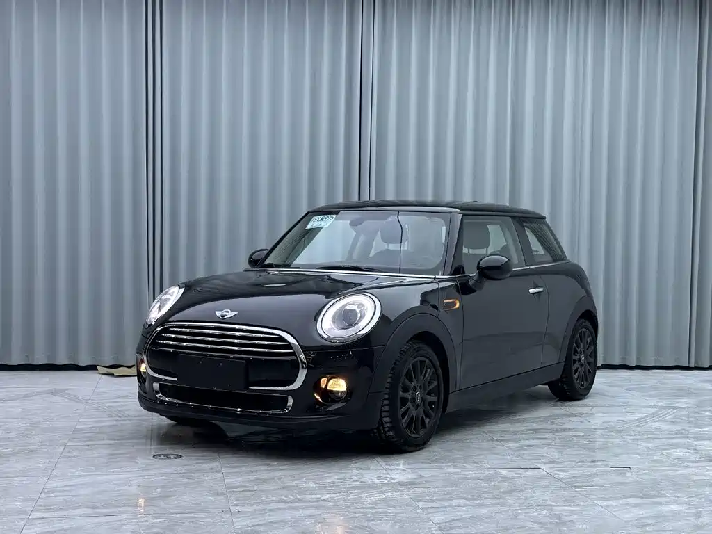 MINI MINI 2015