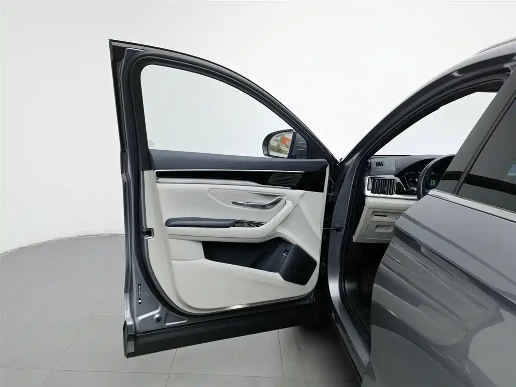 BYD PLUS New Energy 2023 — фото 8