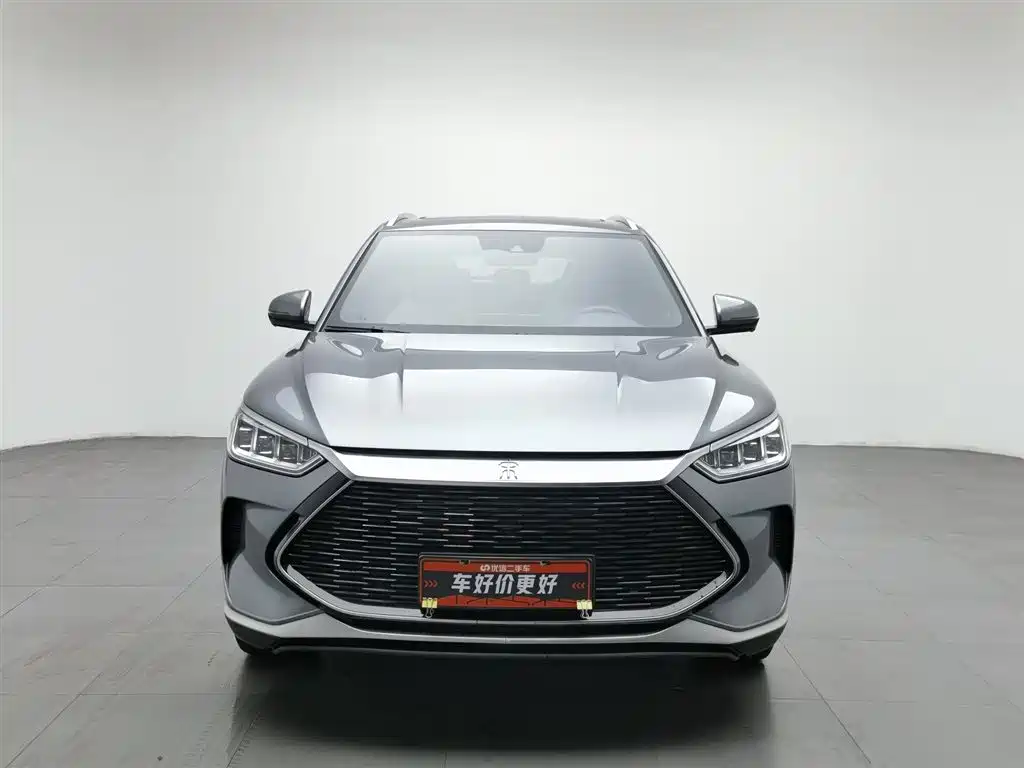 BYD PLUS New Energy 2023 — фото 3