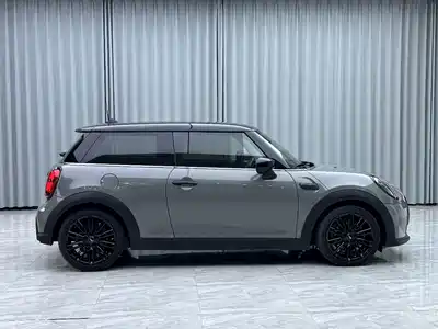 MINI MINI 2022