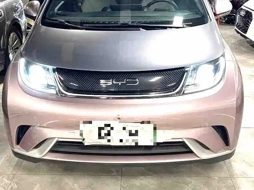 BYD Dolphin 2022