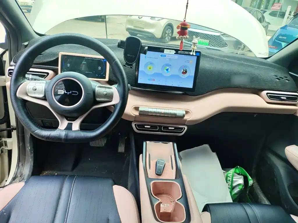BYD Seagull 2024