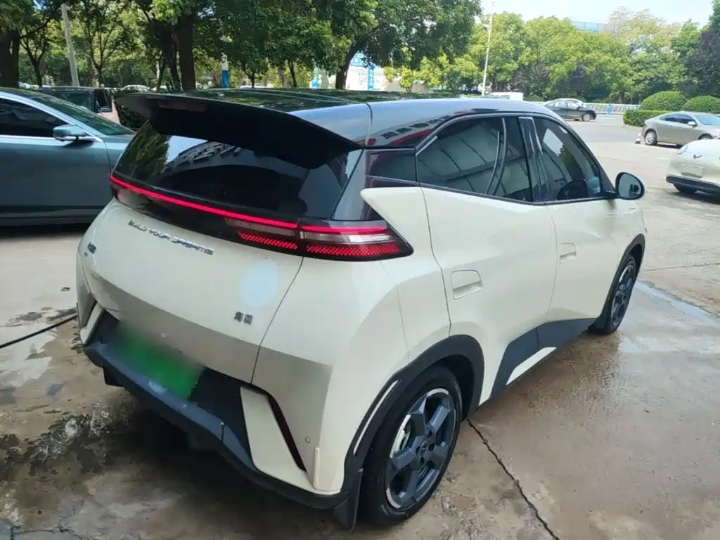 BYD Seagull 2024