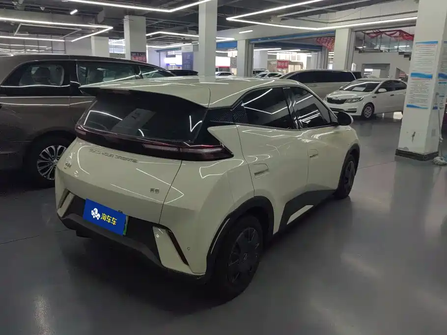 BYD Seagull 2024