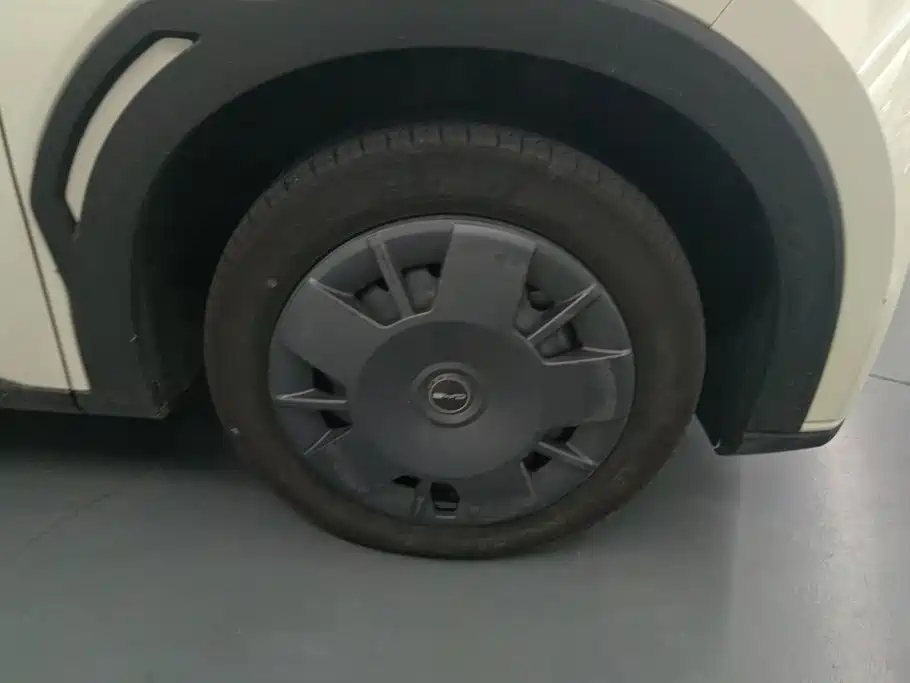 BYD Seagull 2024