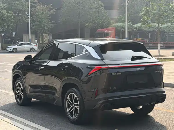 Jetour Shanhai L6 2024