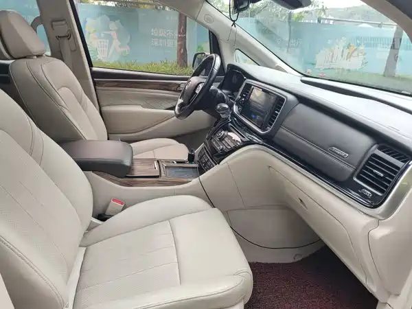 GAC Trumpchi M8 2019