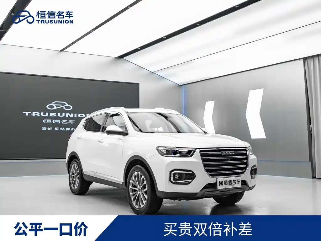 Haval H6 2019 — фото 1