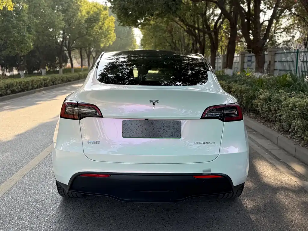 Tesla Model Y 2023 — фото 8