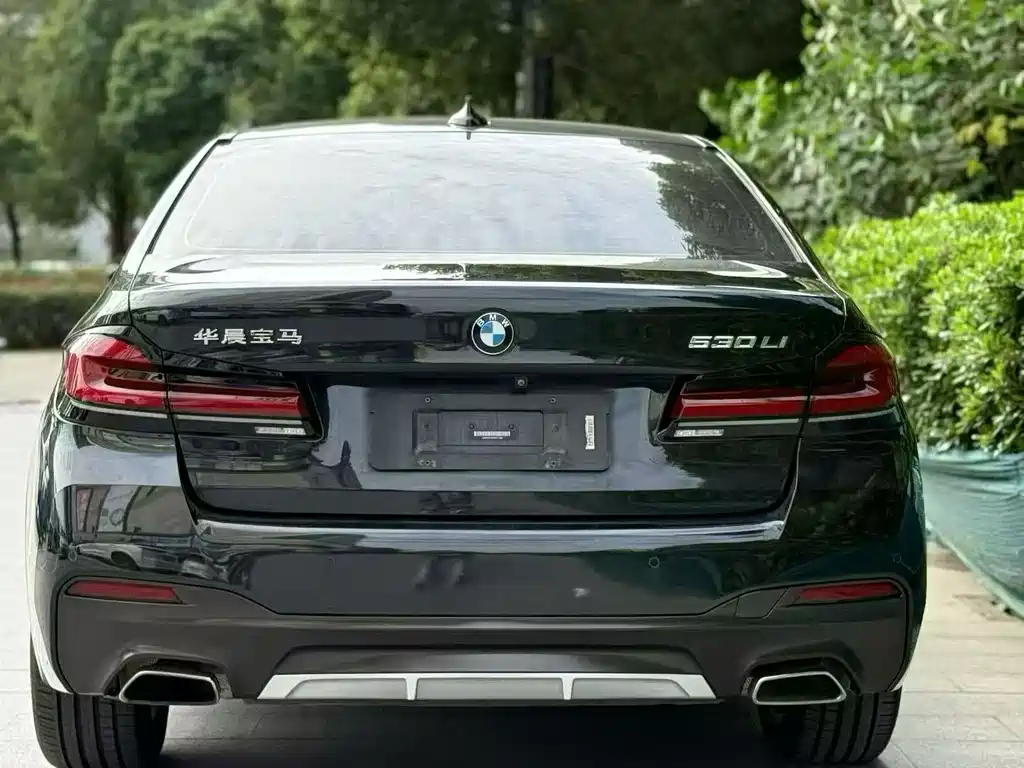 BMW 5 Series 2019 — фото 9
