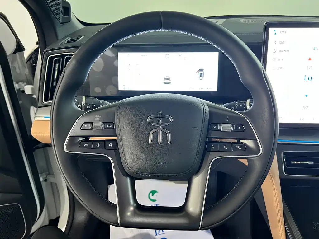 BYD L DM-i 2024 — фото 21