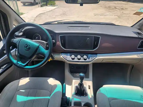 Dongfeng Lingzhi 2018