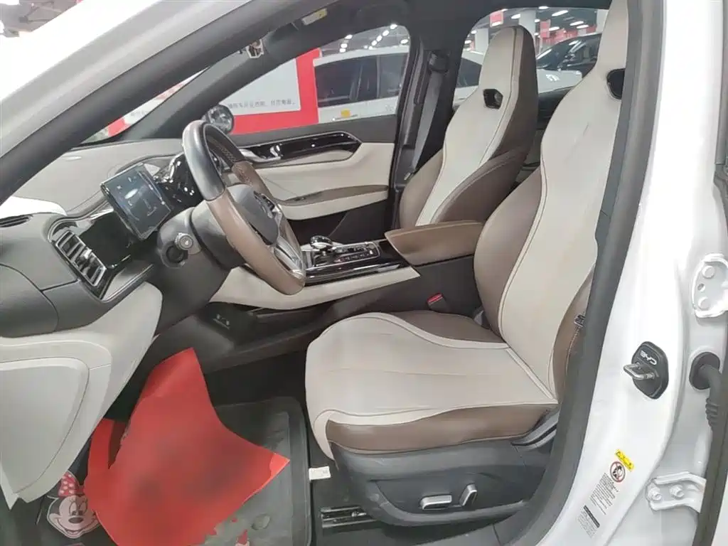BYD Qin PLUS 2024 — фото 15