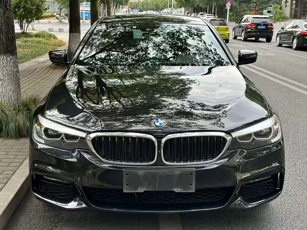 BMW 5 Series 2019 — фото 1