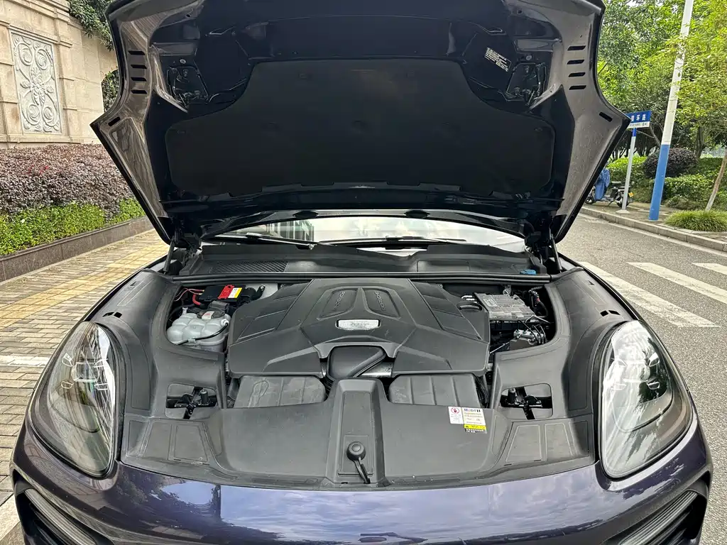 Porsche Cayenne 2019 — фото 16