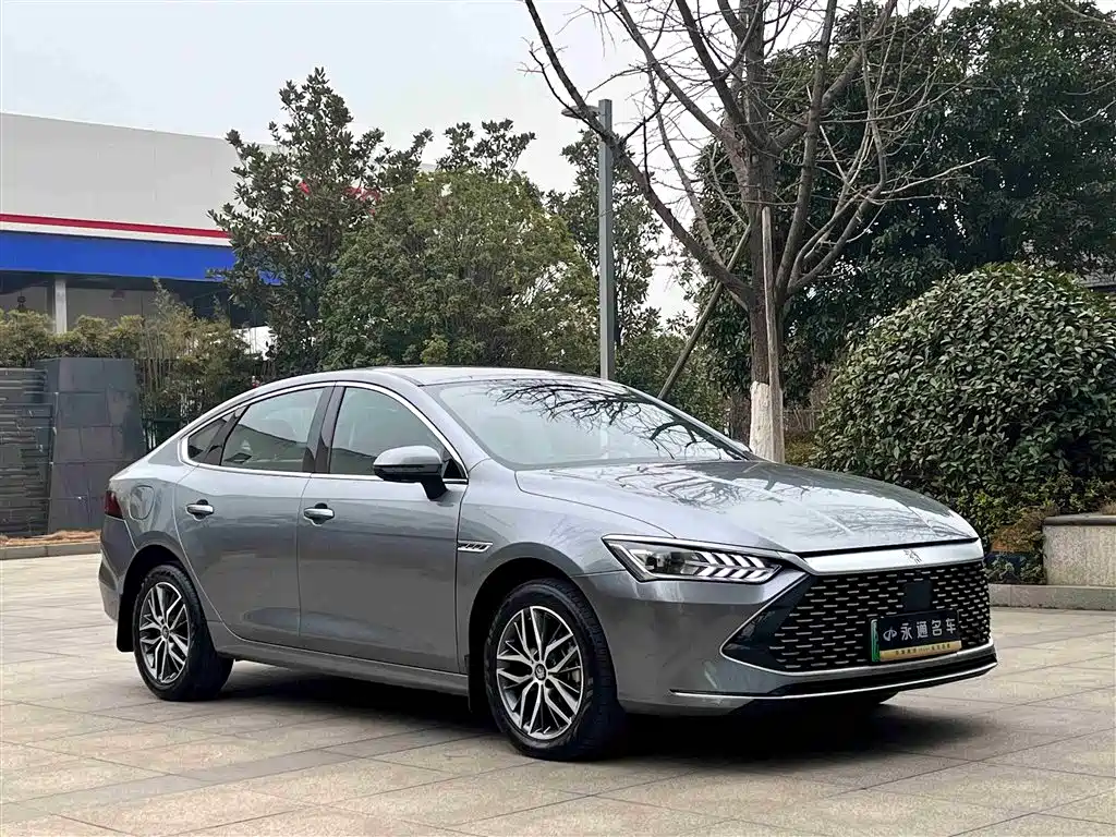 BYD Qin PLUS 2024 — фото 3