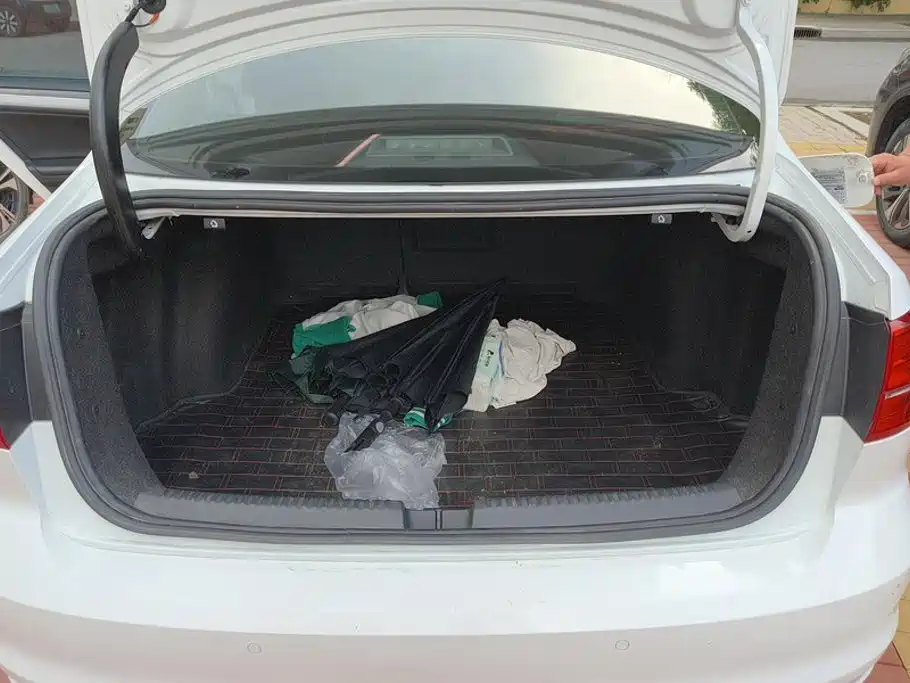 Volkswagen Sagitar 2019