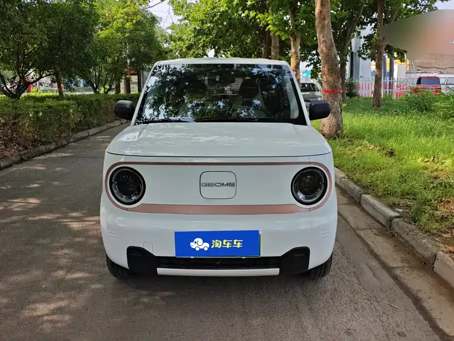 Geely Galaxy Panda 2025 — фото 2