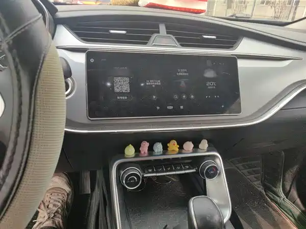 Geely Binrui 2020
