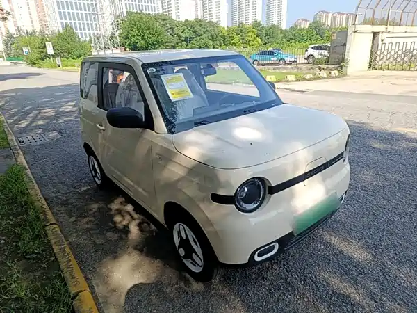 Geely Galaxy Panda 2026