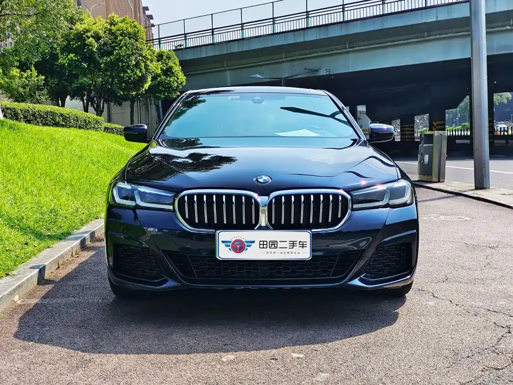 BMW 5 Series New Energy 2021 — фото 2