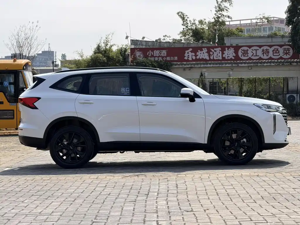 Haval H6 2025 — фото 10