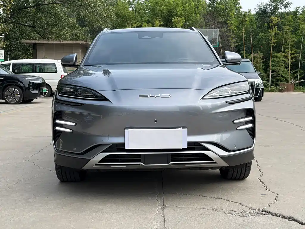 BYD Song PLUS New Energy 2024 — фото 2