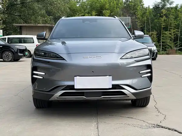 BYD Song PLUS New Energy 2024