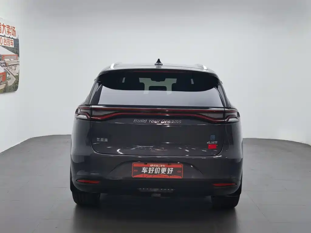 BYD Tang New Energy 2018 — фото 4