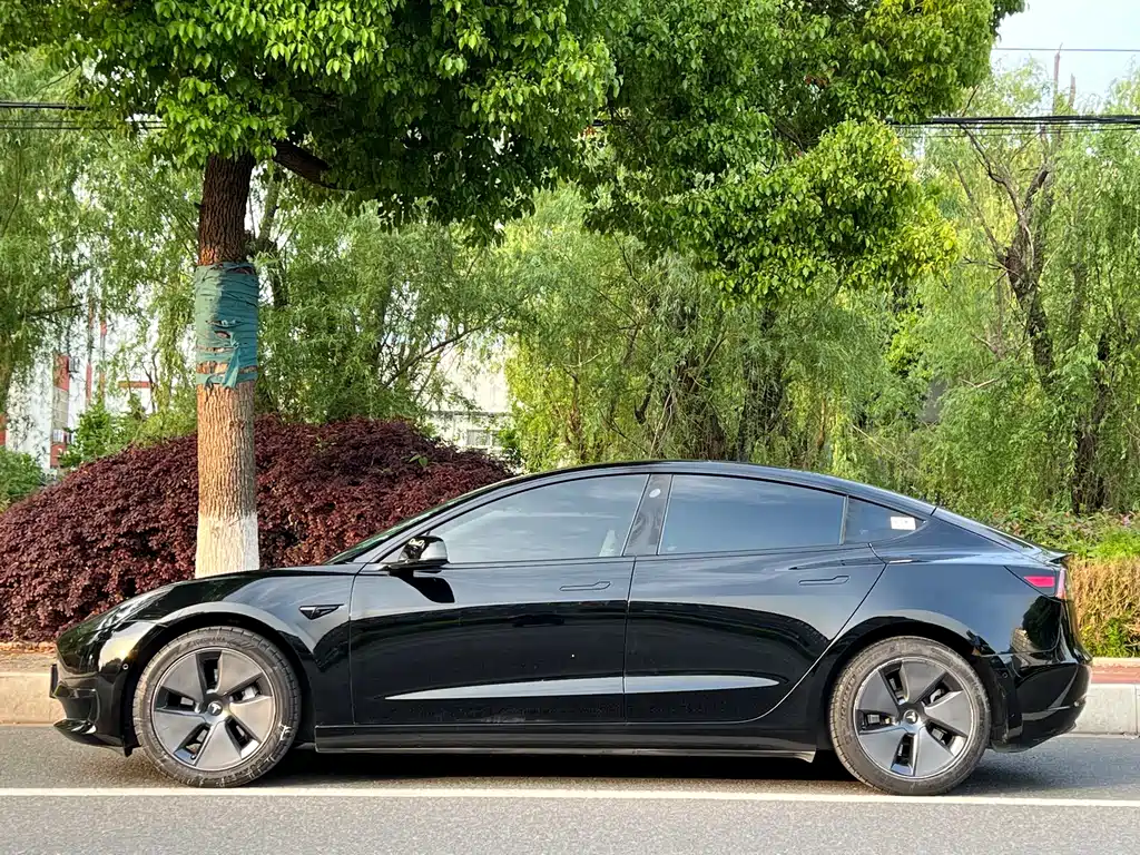 Tesla Model 3 2021 — фото 2