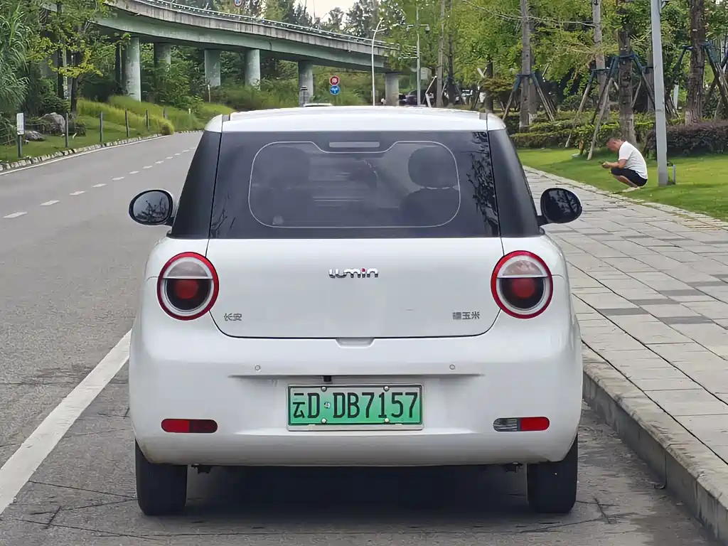 Changan Lumin 2024