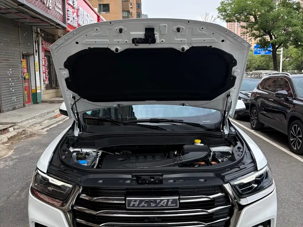 Haval H6 2022 — фото 16