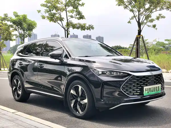 BYD Tang New Energy 2024