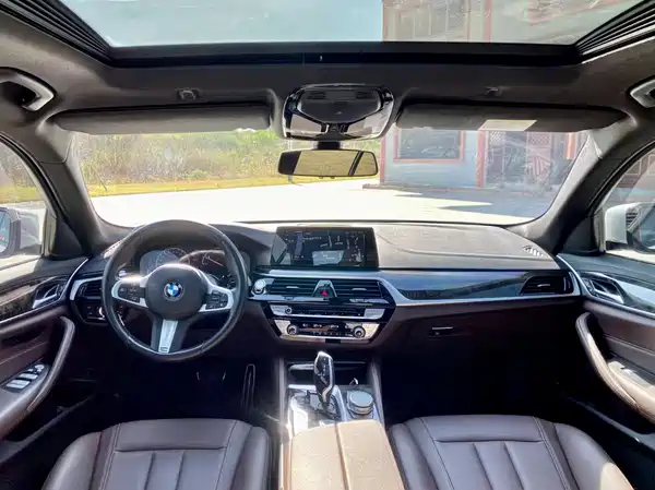 BMW 5 Series 2019