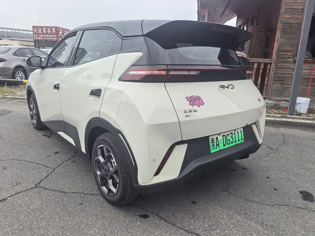 BYD Seagull 2024