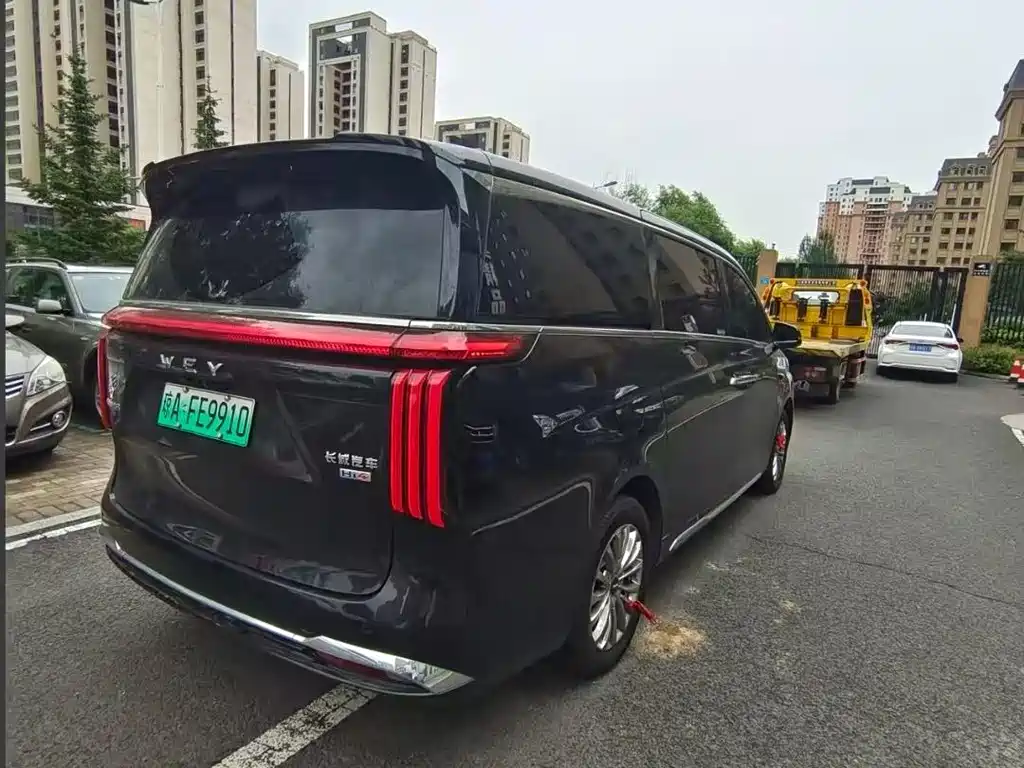 Wey Gaoshan 2026