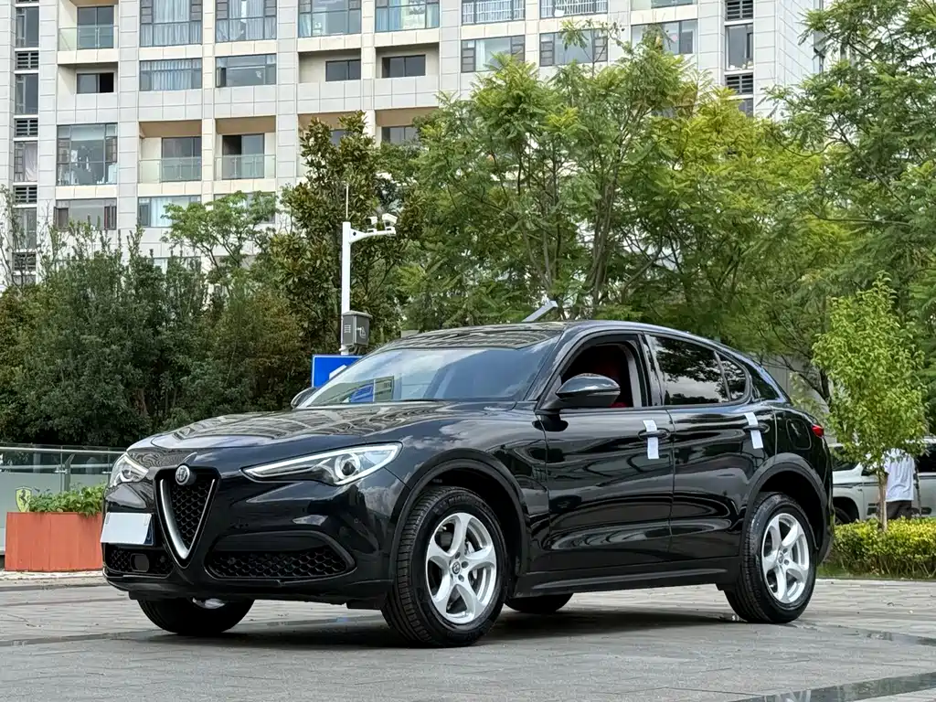 Alfa Romeo Stelvio 2019 — фото 1